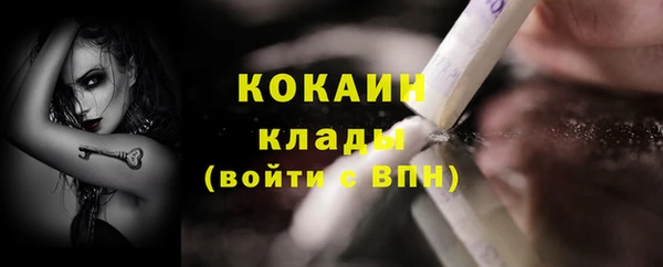 гидра Лагань