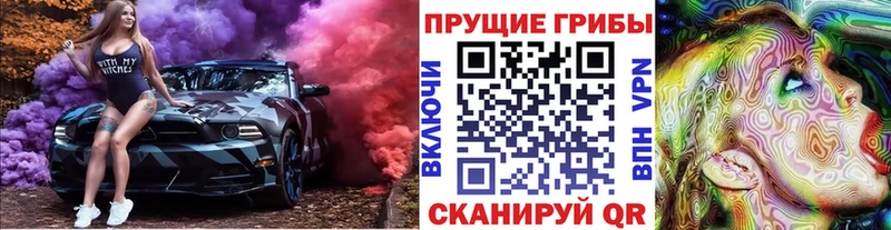Псилоцибиновые грибы Psilocybine cubensis  Мышкин 